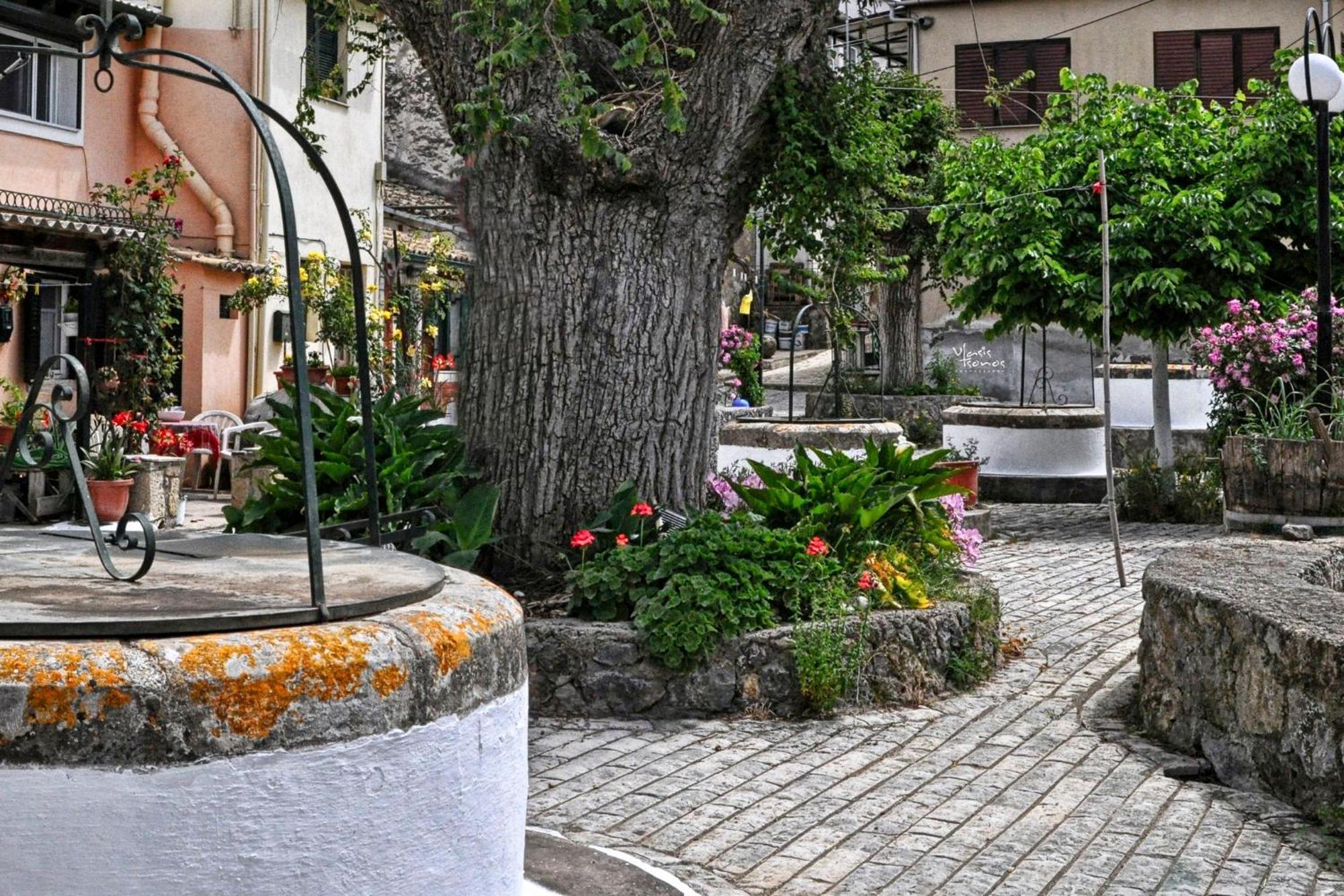 Villa Papaspiros Kouramádes 外观 照片
